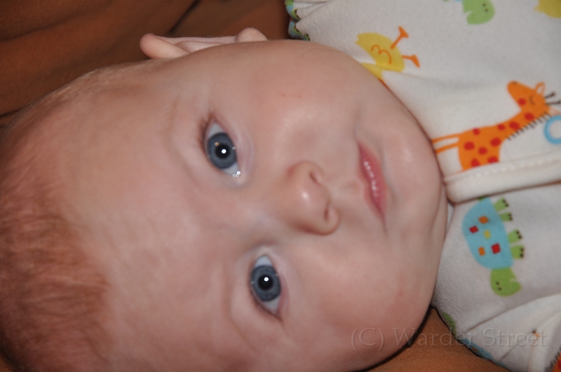 William's Twenty-Third Week 63.jpg